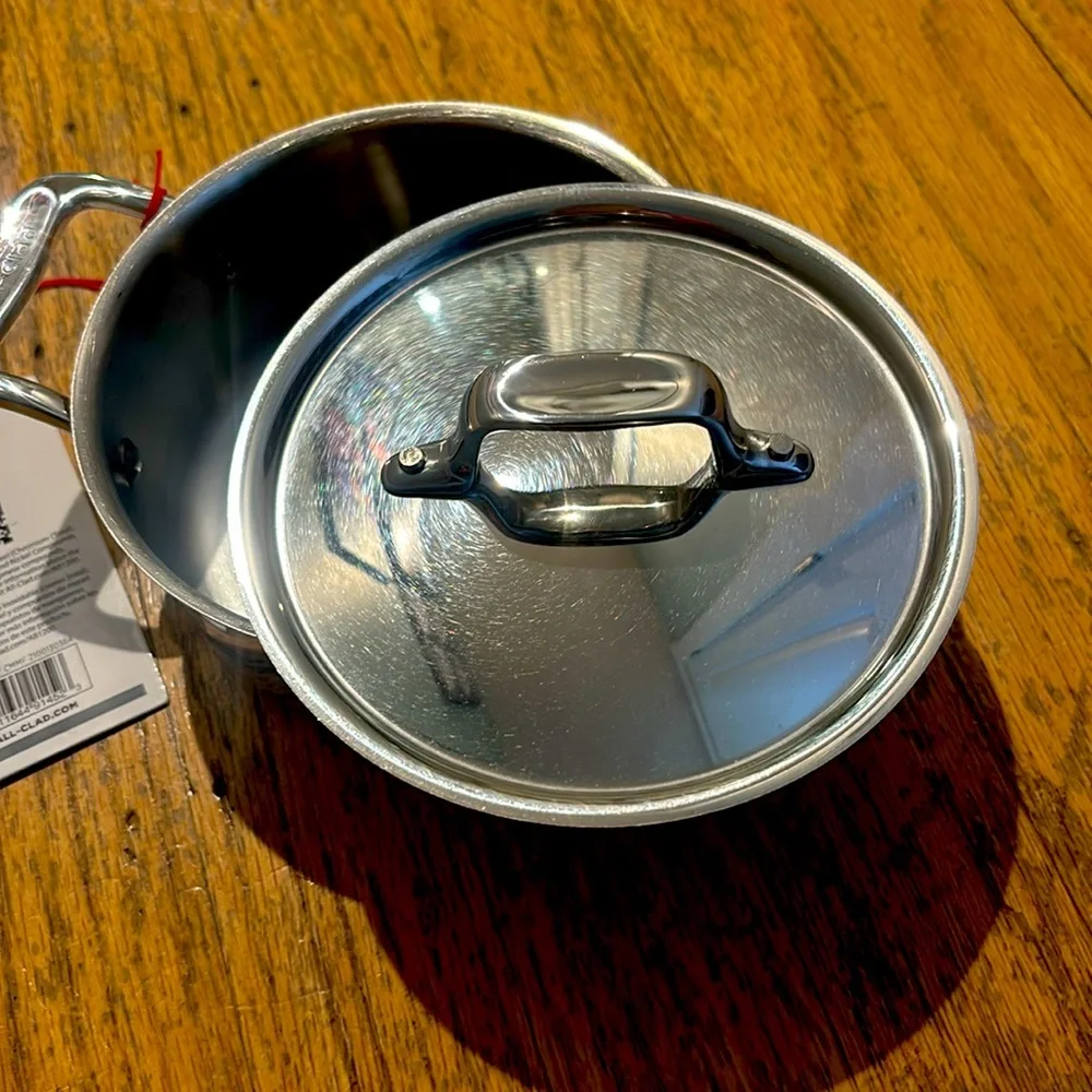 NWT All-Clad Stainless Steel Mini Dutch Oven Pot with Lid